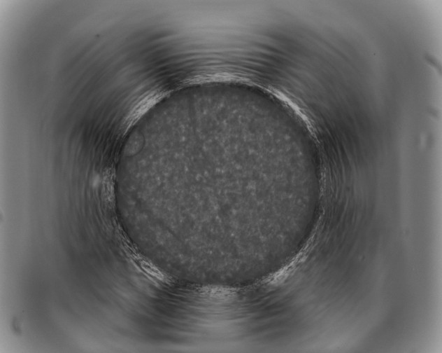 X0000096720921200803041359