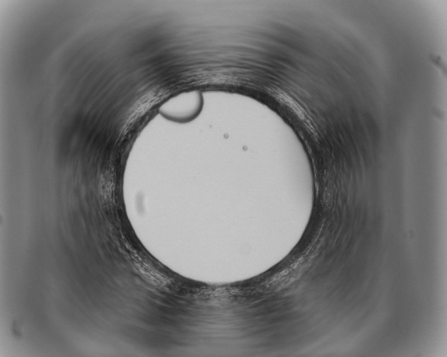 X0000096720922200803041359