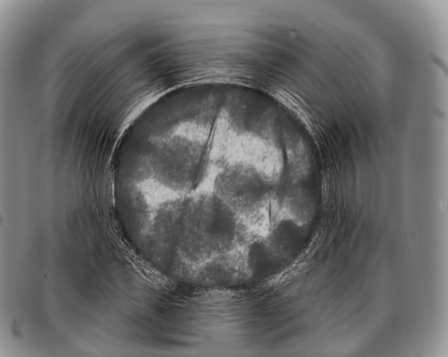 X0000096720925200803041359