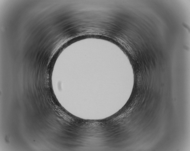 X0000096720926200803041359