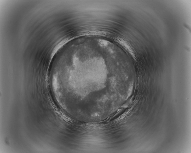 X0000096720928200803041359