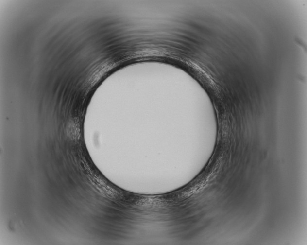 X0000096720929200803041359