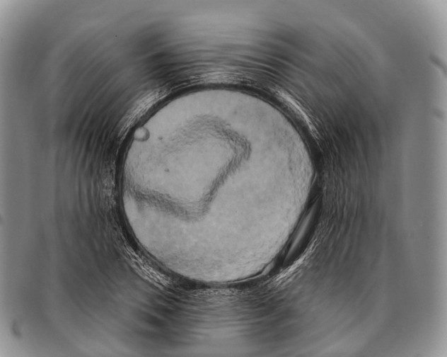 X0000096720930200803041359