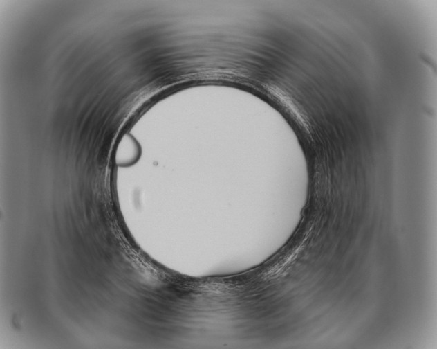 X0000096720932200803041359