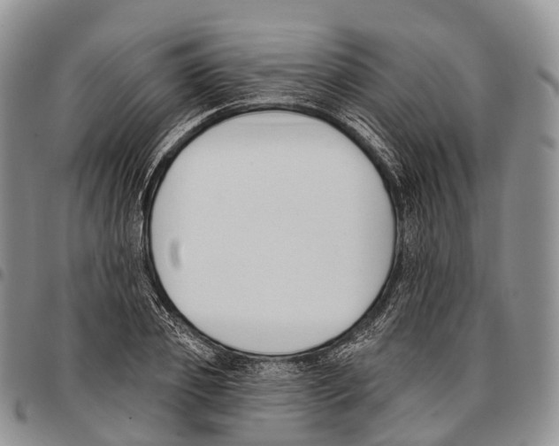 X0000096720933200803041359