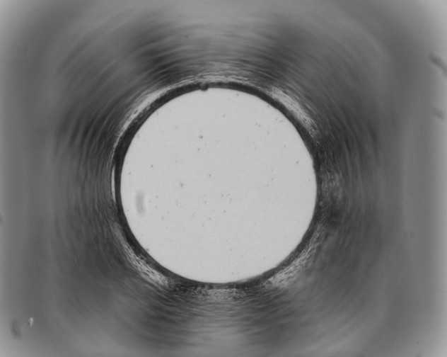 X0000096720934200803041359