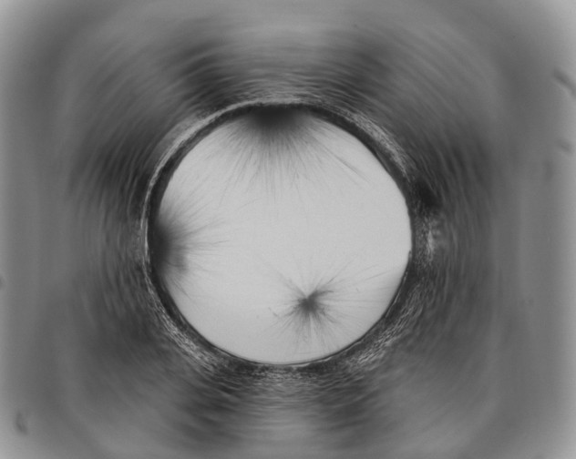 X0000096720935200803041359