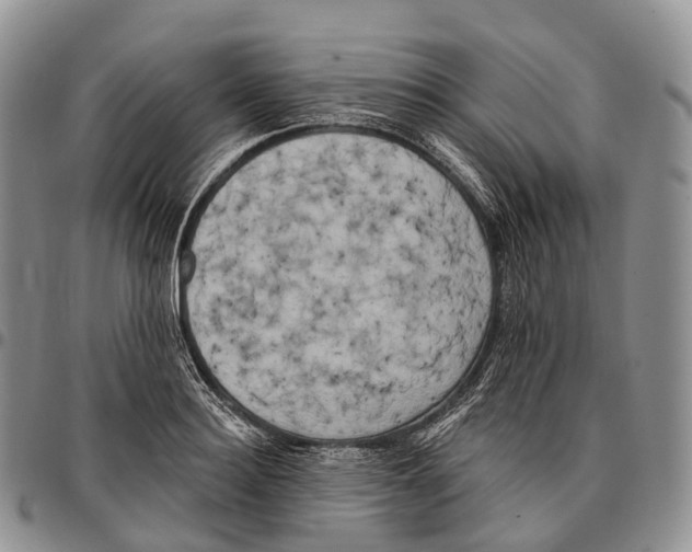 X0000096720940200803041359