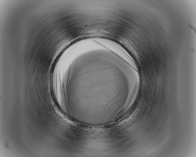 X0000096720941200803041359