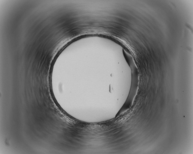 X0000096720943200803041359