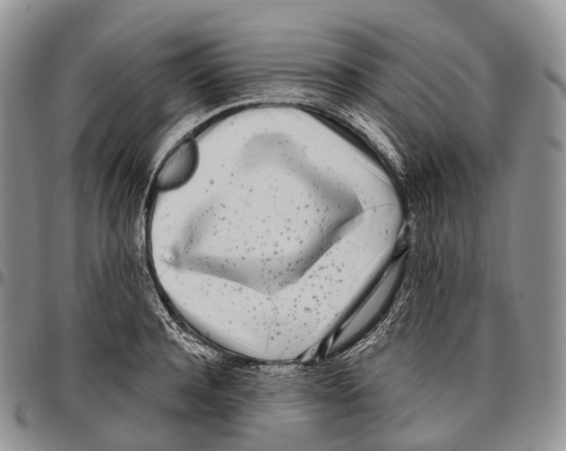 X0000096720944200803041359