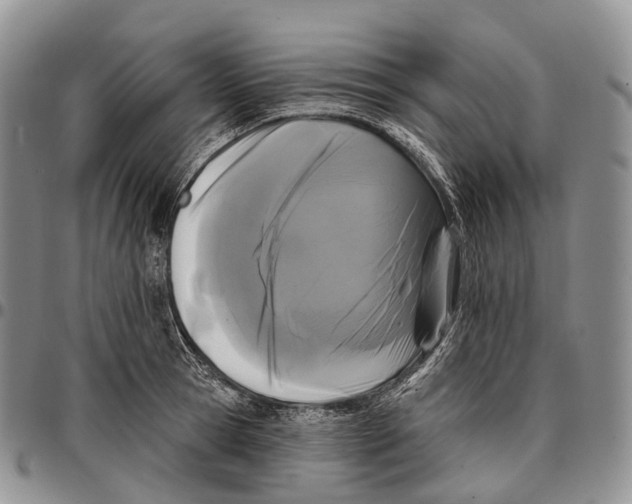 X0000096720945200803041359