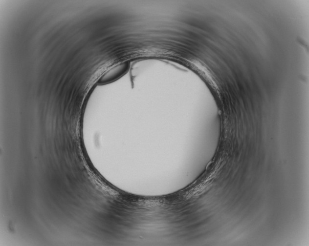 X0000096720946200803041359