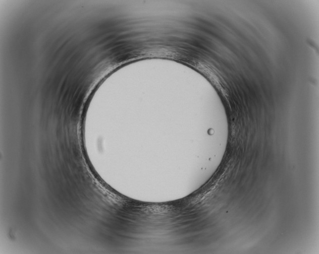 X0000096720947200803041359