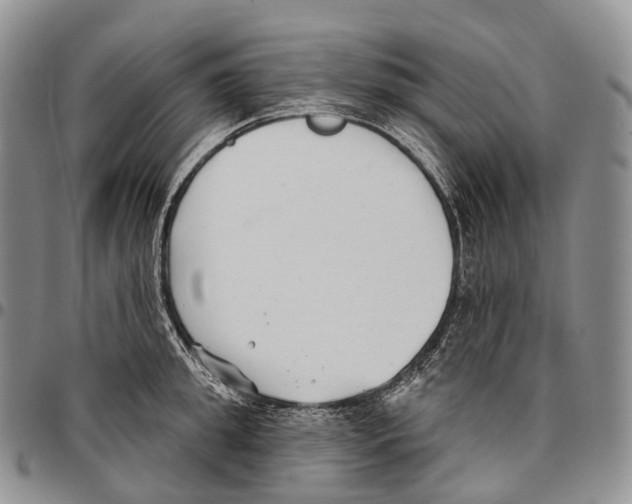 X0000096720949200803041359