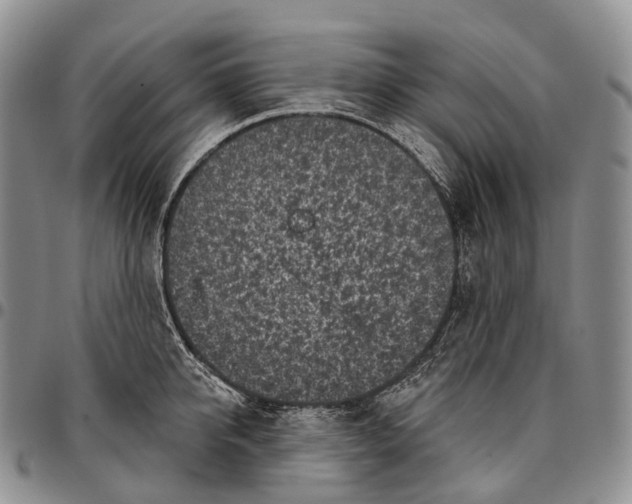 X0000096720950200803041359