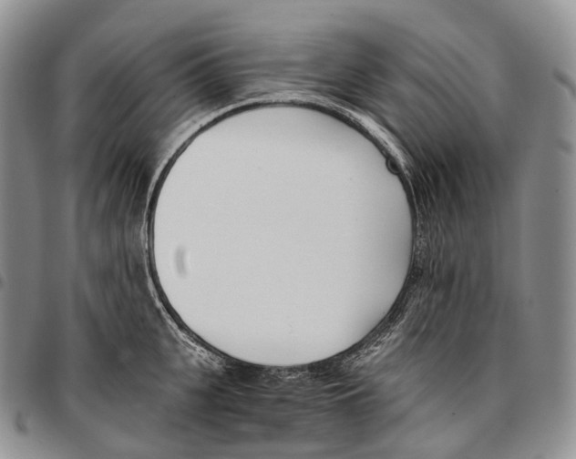 X0000096720951200803041359