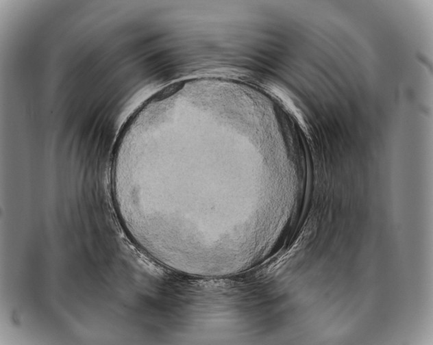 X0000096720952200803041359