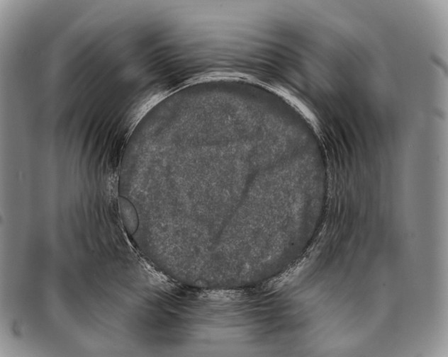 X0000096720953200803041359