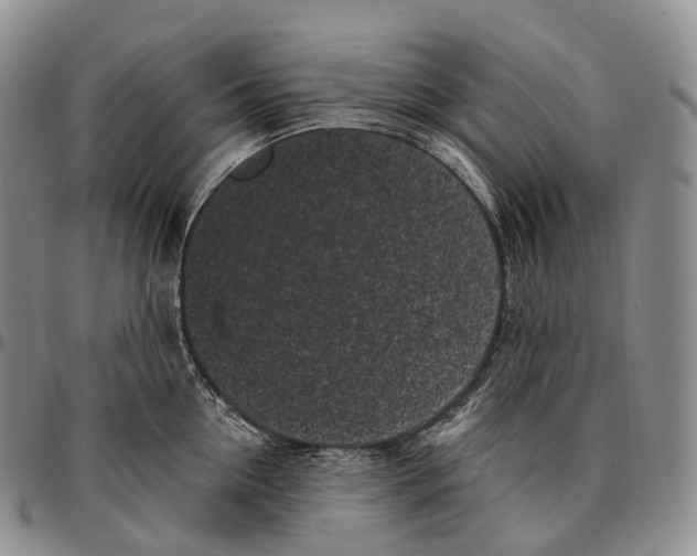 X0000096720954200803041359