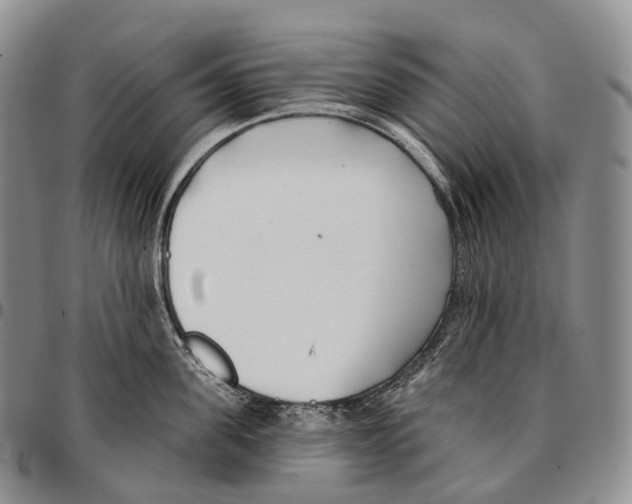 X0000096720955200803041359