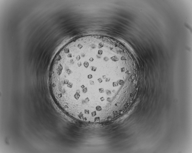 X0000096720957200803041359