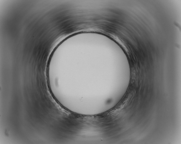 X0000096720959200803041359