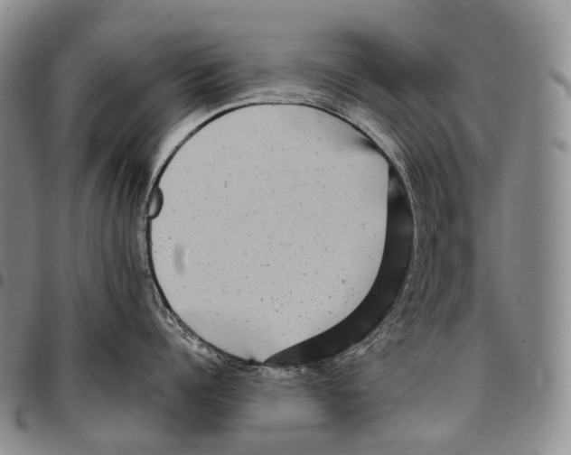 X0000096720960200803041359