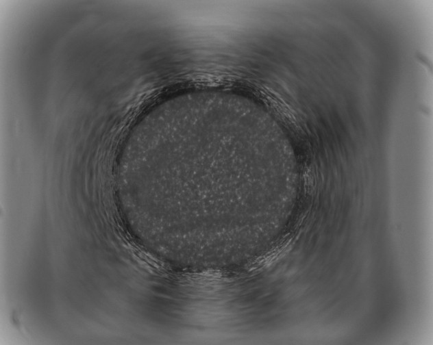 X0000096720961200803041358