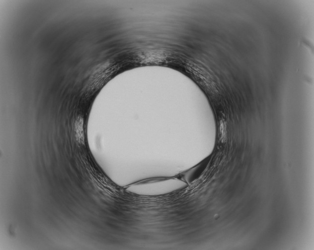 X0000096720963200803041358