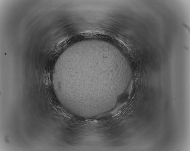 X0000096720965200803041358