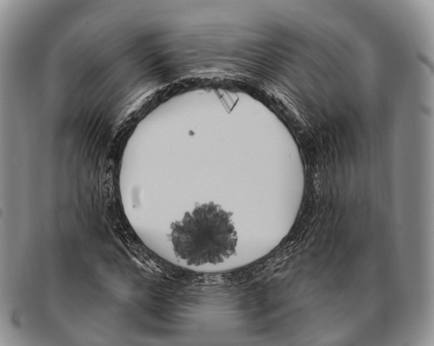 X0000096720968200803041358