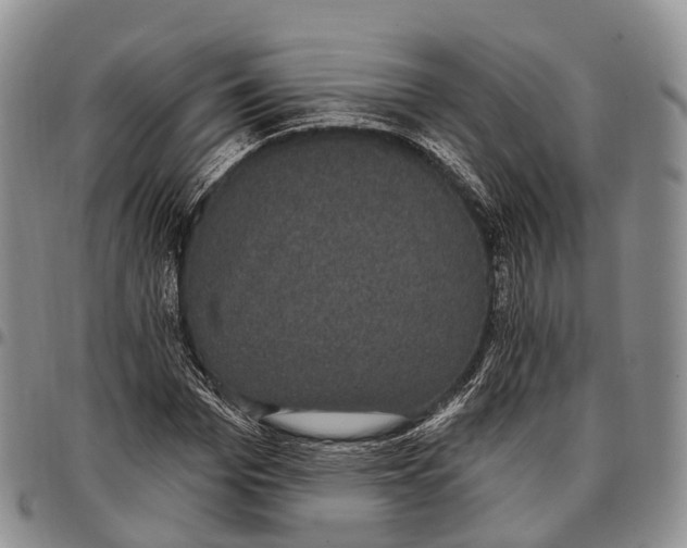 X0000096720969200803041358