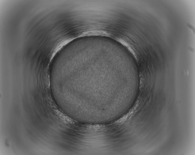 X0000096720973200803041358