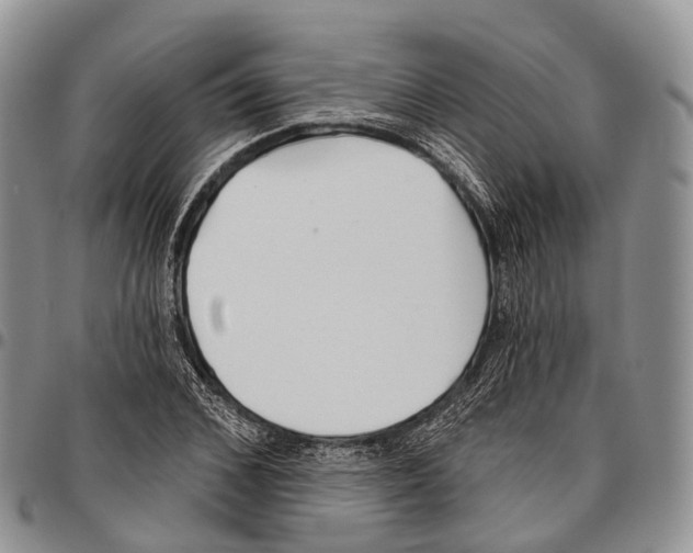 X0000096720976200803041358