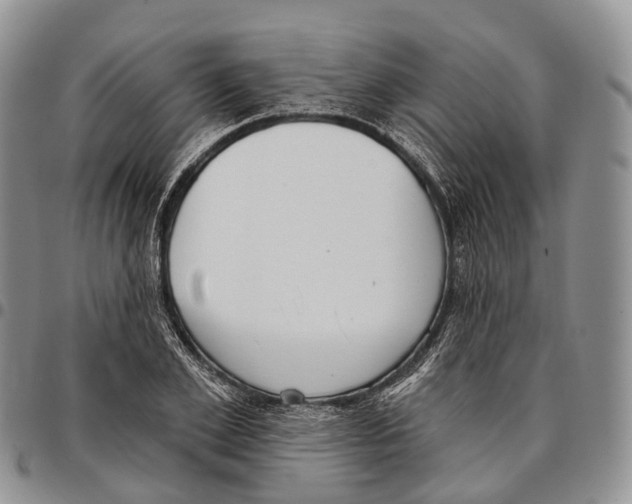 X0000096720981200803041358