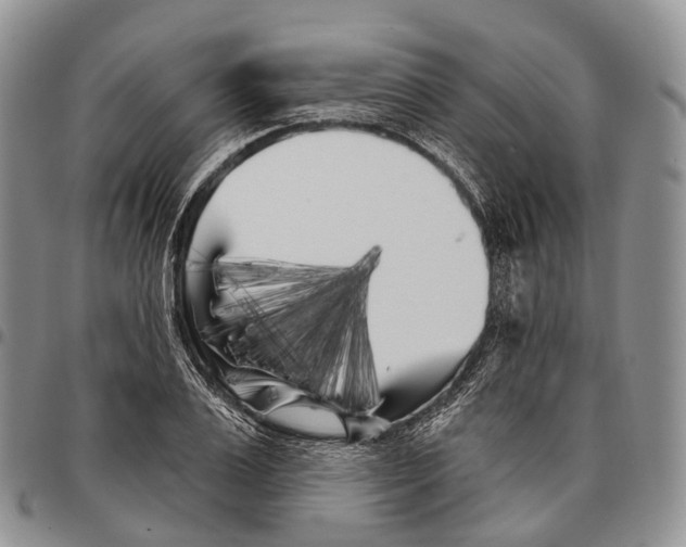 X0000096720983200803041358