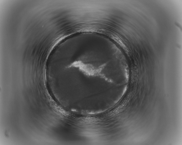 X0000096720984200803041358