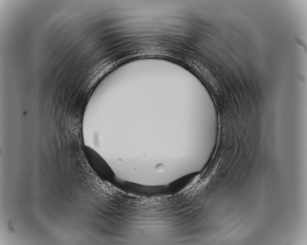 X0000096720985200803041358