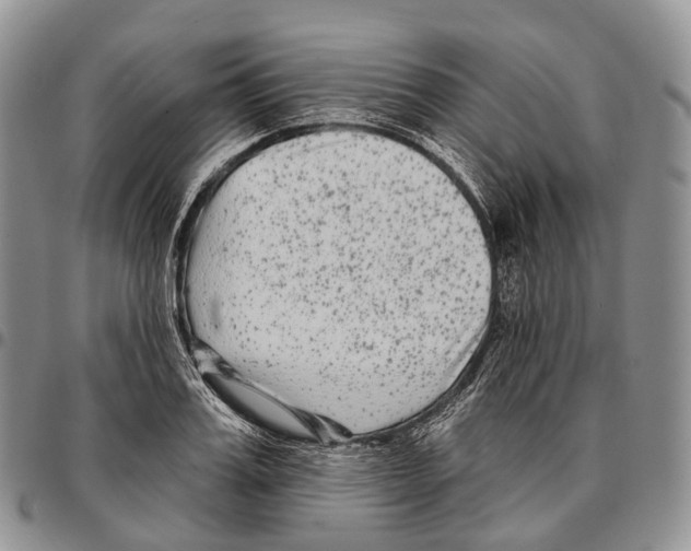 X0000096720987200803041358