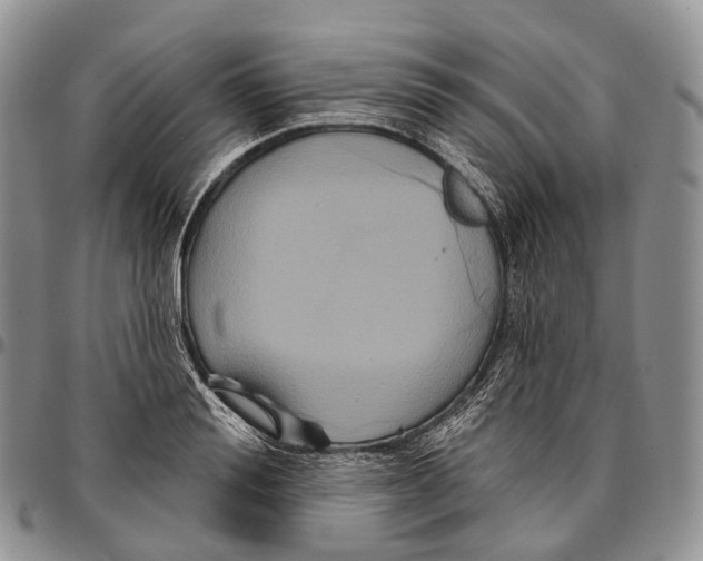 X0000096720988200803041358