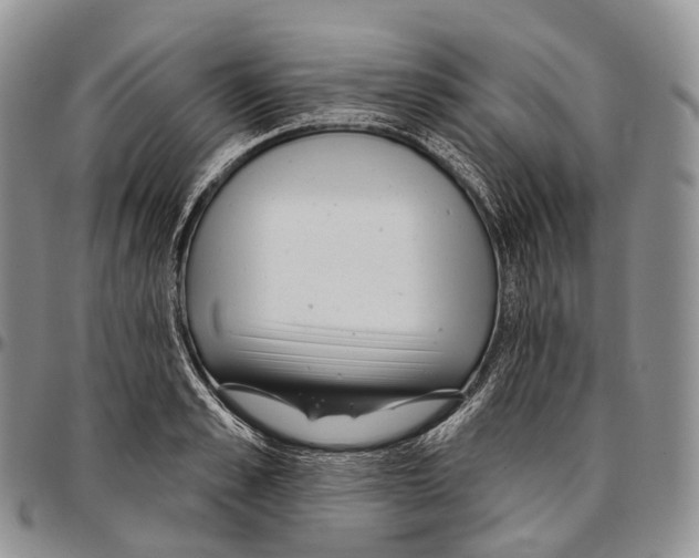 X0000096720989200803041358