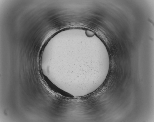 X0000096720990200803041358