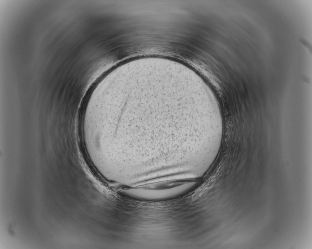 X0000096720991200803041358