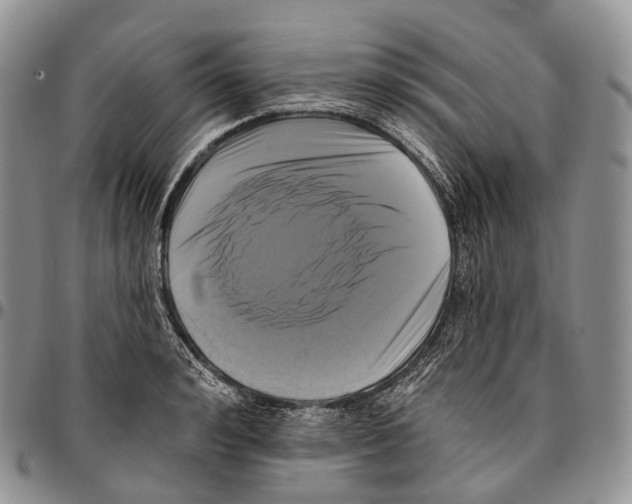 X0000096720992200803041358