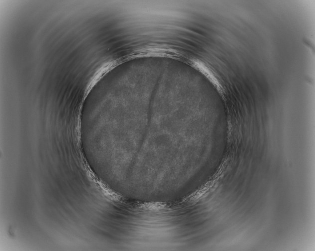 X0000096720994200803041358