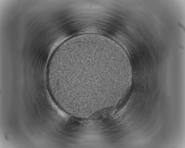 X0000096720995200803041358