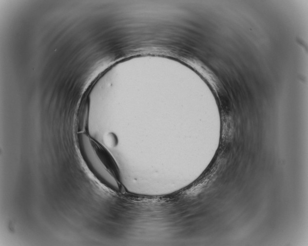 X0000096720999200803041358