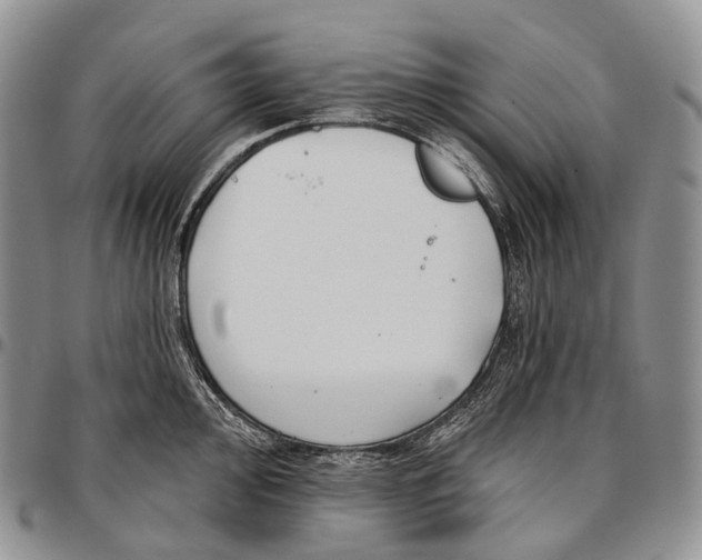 X0000096721000200803041358