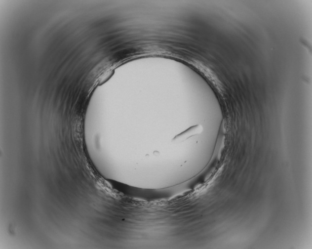 X0000096721001200803041358